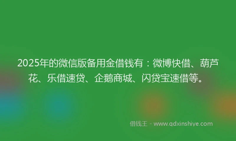 2025年的微信版备用金借钱有：微博快借、葫芦花、乐借速贷、企鹅商城、闪贷宝速借等。
