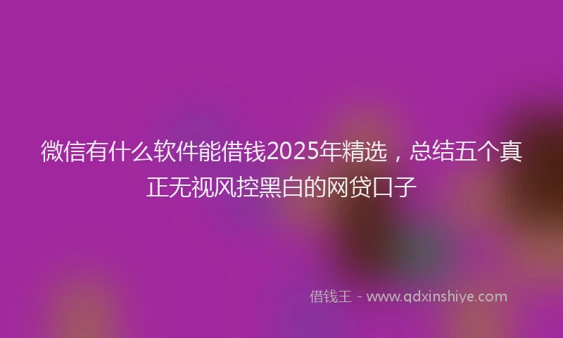 微信有什么软件能借钱2025年精选，总结五个真正无视风控黑白的网贷口子