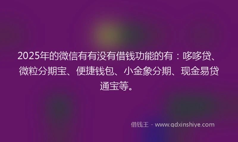 2025年的微信有有没有借钱功能的有：哆哆贷、微粒分期宝、便捷钱包、小金象分期、现金易贷通宝等。