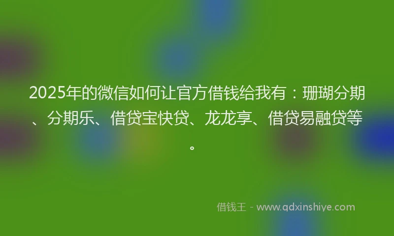 2025年的微信如何让官方借钱给我有：珊瑚分期、分期乐、借贷宝快贷、龙龙享、借贷易融贷等。