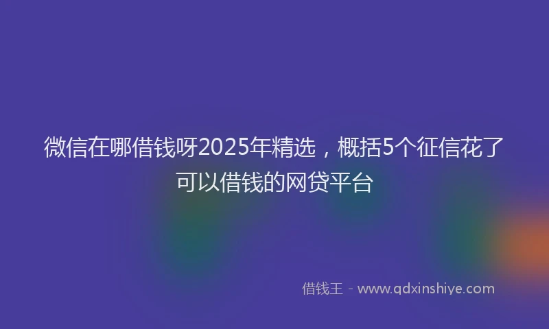 微信在哪借钱呀2025年精选，概括5个征信花了可以借钱的网贷平台