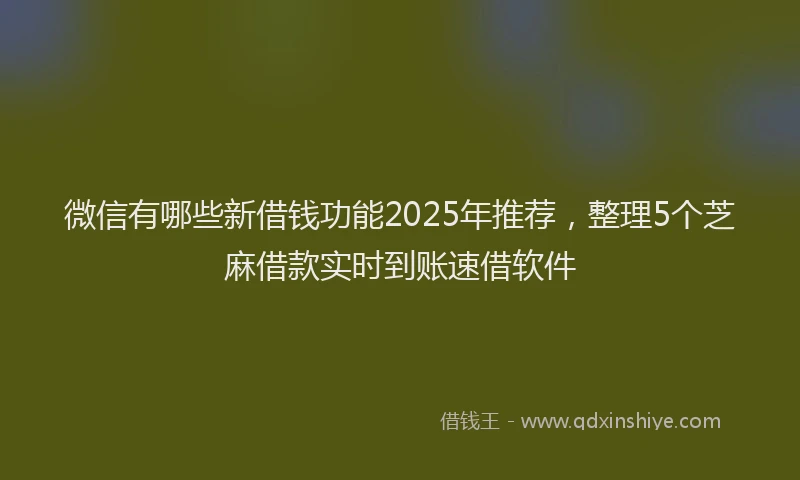 微信有哪些新借钱功能2025年推荐，整理5个芝麻借款实时到账速借软件