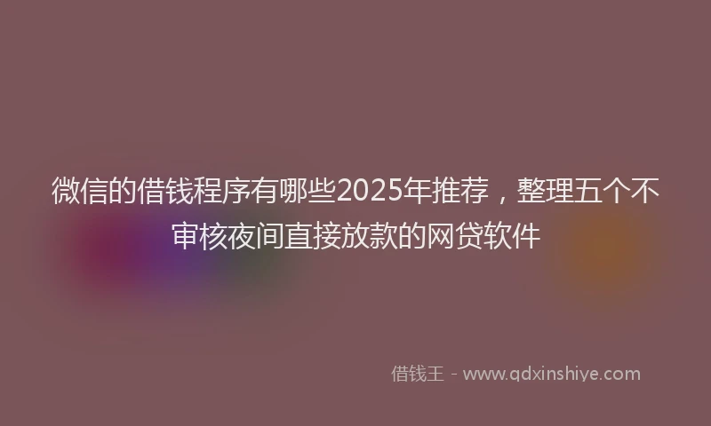 微信的借钱程序有哪些2025年推荐，整理五个不审核夜间直接放款的网贷软件