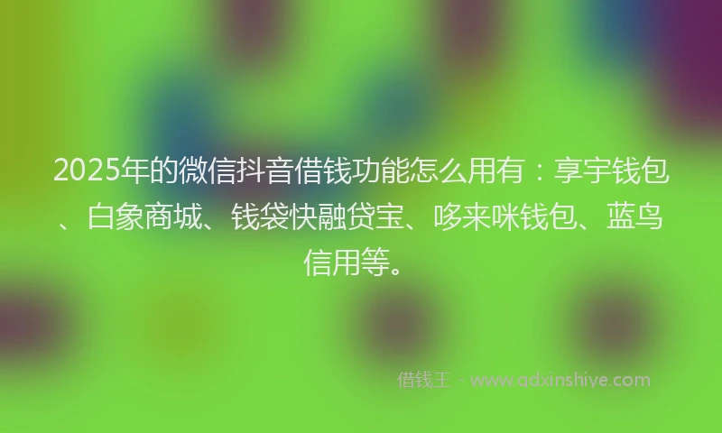 2025年的微信抖音借钱功能怎么用有：享宇钱包、白象商城、钱袋快融贷宝、哆来咪钱包、蓝鸟信用等。