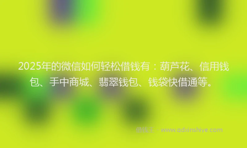 2025年的微信如何轻松借钱有：葫芦花、信用钱包、手中商城、翡翠钱包、钱袋快借通等。