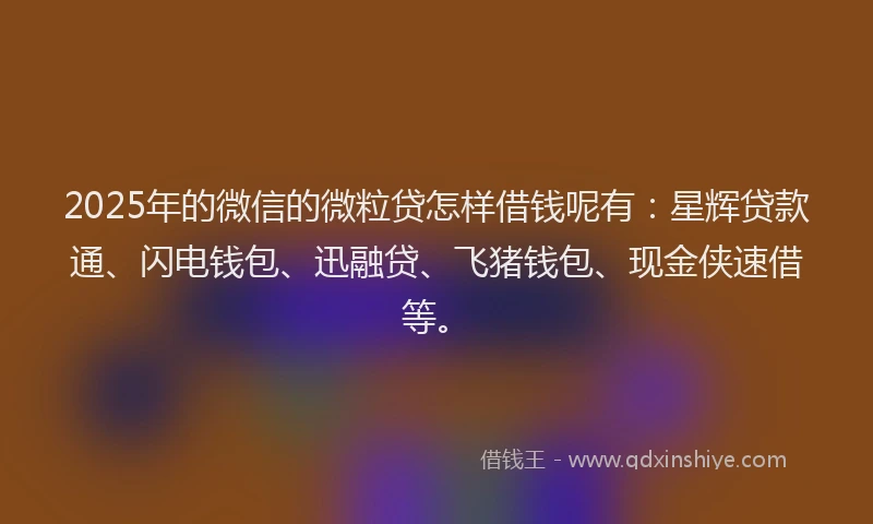 2025年的微信的微粒贷怎样借钱呢有：星辉贷款通、闪电钱包、迅融贷、飞猪钱包、现金侠速借等。