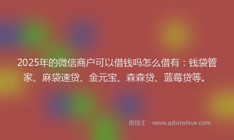 2025年的微信商户可以借钱吗怎么借有：钱袋管家、麻袋速贷、金元宝、森森贷、蓝莓贷等。