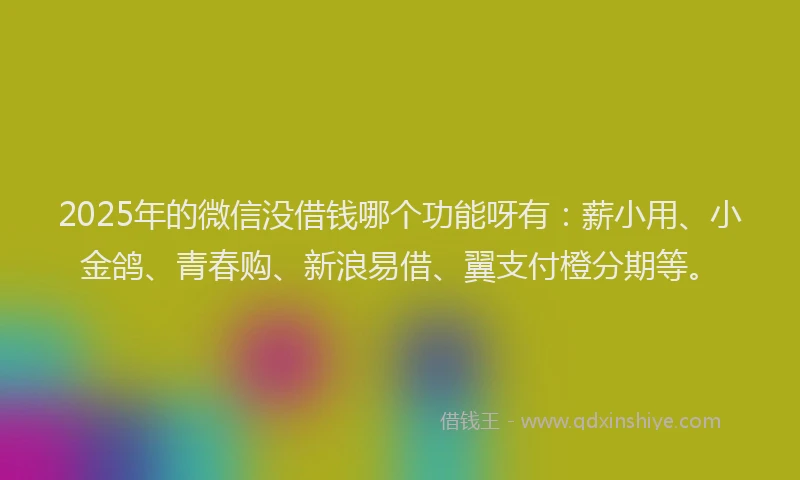 2025年的微信没借钱哪个功能呀有：薪小用、小金鸽、青春购、新浪易借、翼支付橙分期等。