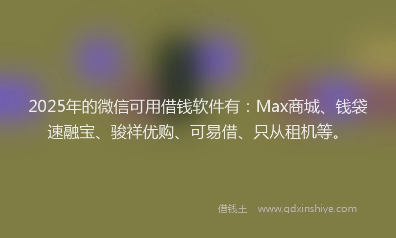 2025年的微信可用借钱软件有：Max商城、钱袋速融宝、骏祥优购、可易借、只从租机等。