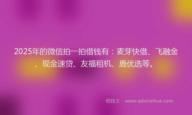 2025年的微信拍一拍借钱有：麦芽快借、飞融金、现金速贷、友福租机、鹿优选等。