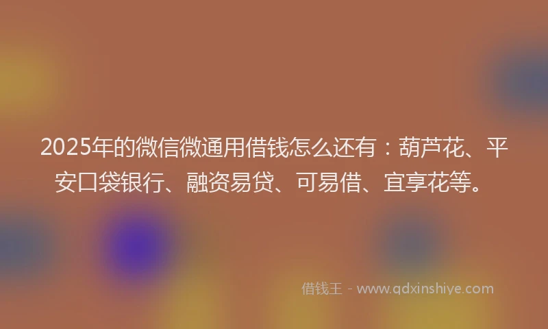 2025年的微信微通用借钱怎么还有：葫芦花、平安口袋银行、融资易贷、可易借、宜享花等。