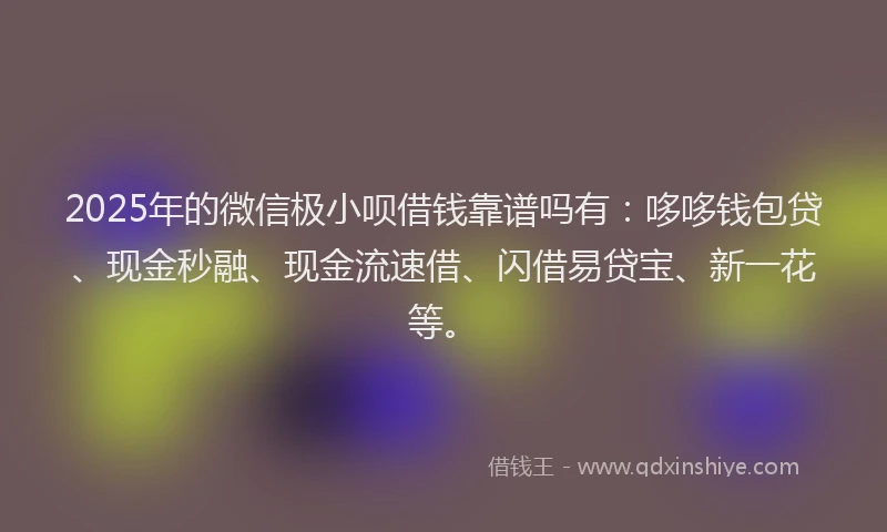 2025年的微信极小呗借钱靠谱吗有：哆哆钱包贷、现金秒融、现金流速借、闪借易贷宝、新一花等。