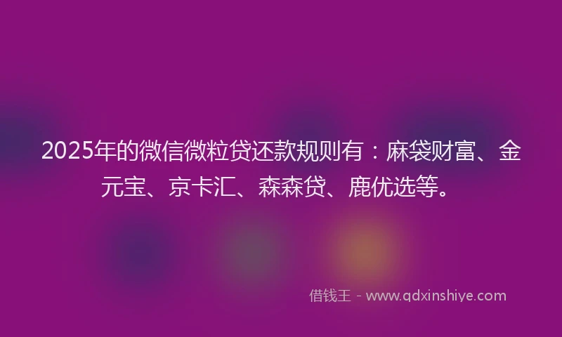 2025年的微信微粒贷还款规则有：麻袋财富、金元宝、京卡汇、森森贷、鹿优选等。