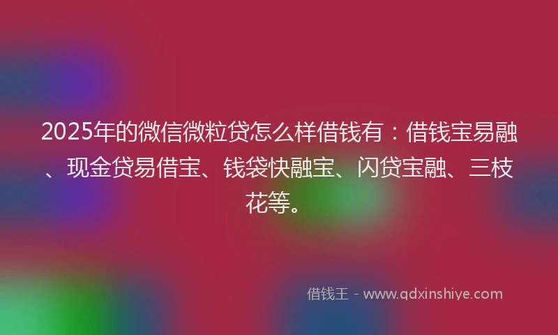 2025年的微信微粒贷怎么样借钱有：借钱宝易融、现金贷易借宝、钱袋快融宝、闪贷宝融、三枝花等。