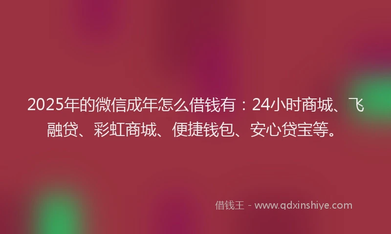 2025年的微信成年怎么借钱有：24小时商城、飞融贷、彩虹商城、便捷钱包、安心贷宝等。