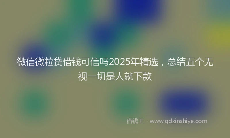 微信微粒贷借钱可信吗2025年精选，总结五个无视一切是人就下款
