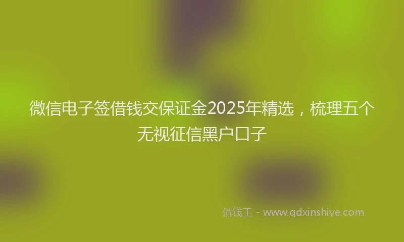 微信电子签借钱交保证金2025年精选，梳理五个无视征信黑户口子