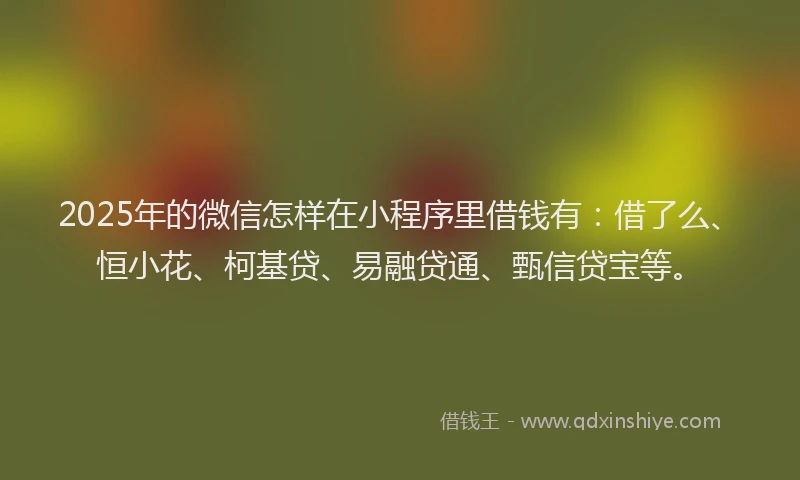 2025年的微信怎样在小程序里借钱有：借了么、恒小花、柯基贷、易融贷通、甄信贷宝等。