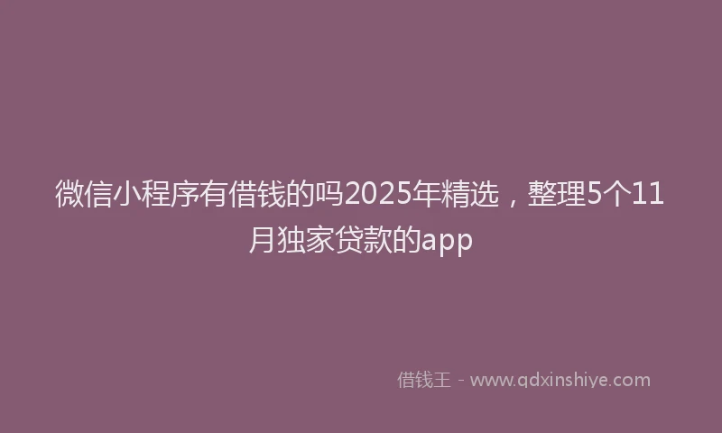 微信小程序有借钱的吗2025年精选，整理5个11月独家贷款的app