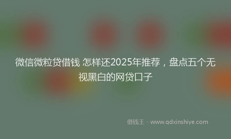 微信微粒贷借钱 怎样还2025年推荐，盘点五个无视黑白的网贷口子