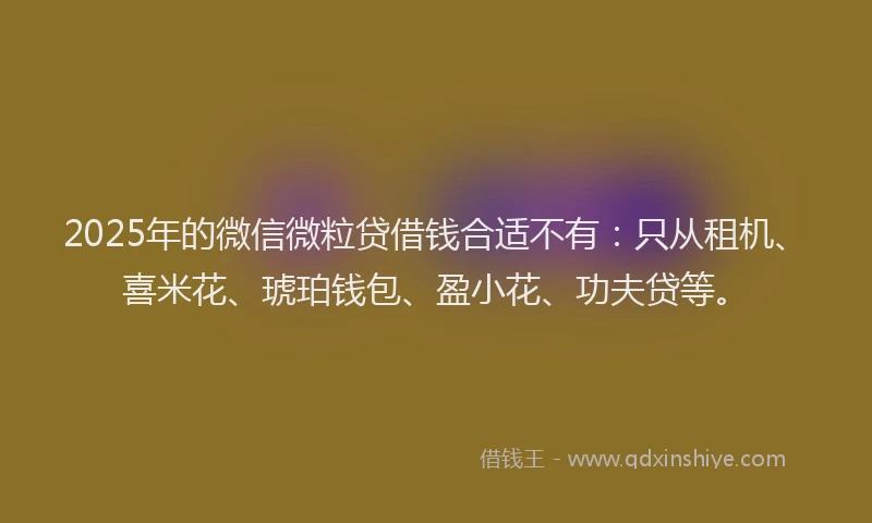 2025年的微信微粒贷借钱合适不有：只从租机、喜米花、琥珀钱包、盈小花、功夫贷等。