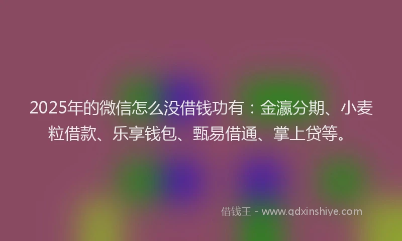 2025年的微信怎么没借钱功有：金瀛分期、小麦粒借款、乐享钱包、甄易借通、掌上贷等。