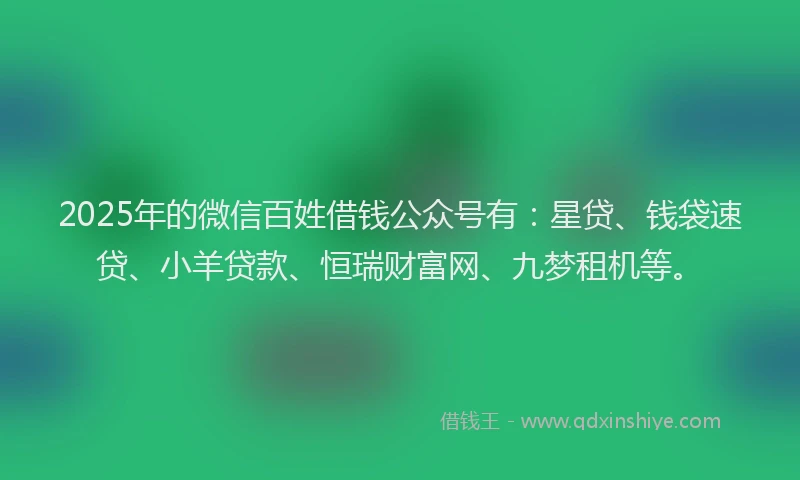 2025年的微信百姓借钱公众号有：星贷、钱袋速贷、小羊贷款、恒瑞财富网、九梦租机等。