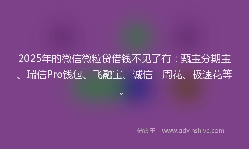 2025年的微信微粒贷借钱不见了有：甄宝分期宝、瑞信Pro钱包、飞融宝、诚信一周花、极速花等。