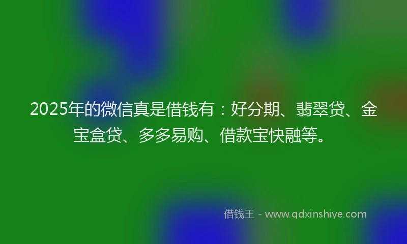 2025年的微信真是借钱有：好分期、翡翠贷、金宝盒贷、多多易购、借款宝快融等。