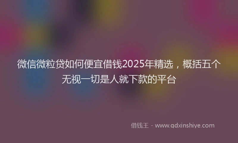 微信微粒贷如何便宜借钱2025年精选，概括五个无视一切是人就下款的平台