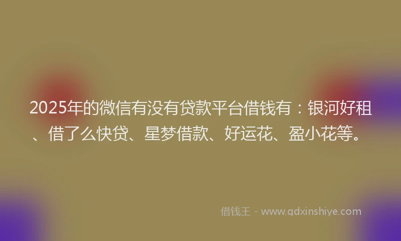 2025年的微信有没有贷款平台借钱有：银河好租、借了么快贷、星梦借款、好运花、盈小花等。