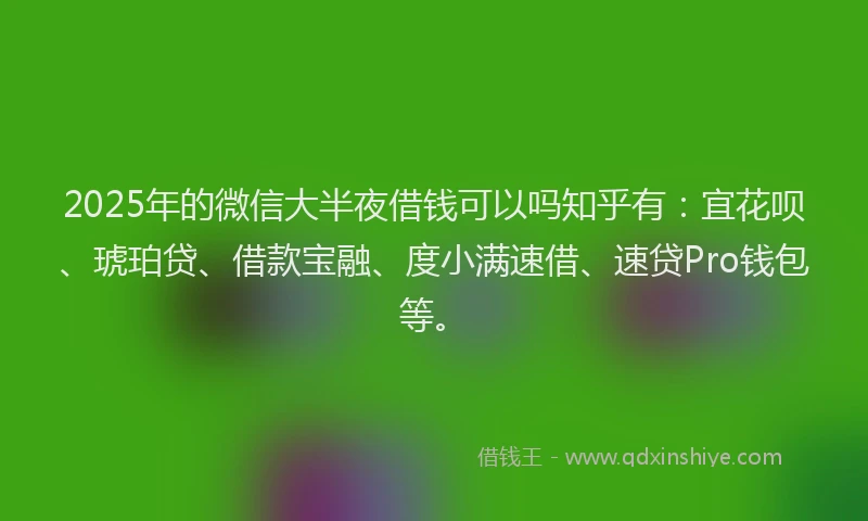 2025年的微信大半夜借钱可以吗知乎有：宜花呗、琥珀贷、借款宝融、度小满速借、速贷Pro钱包等。