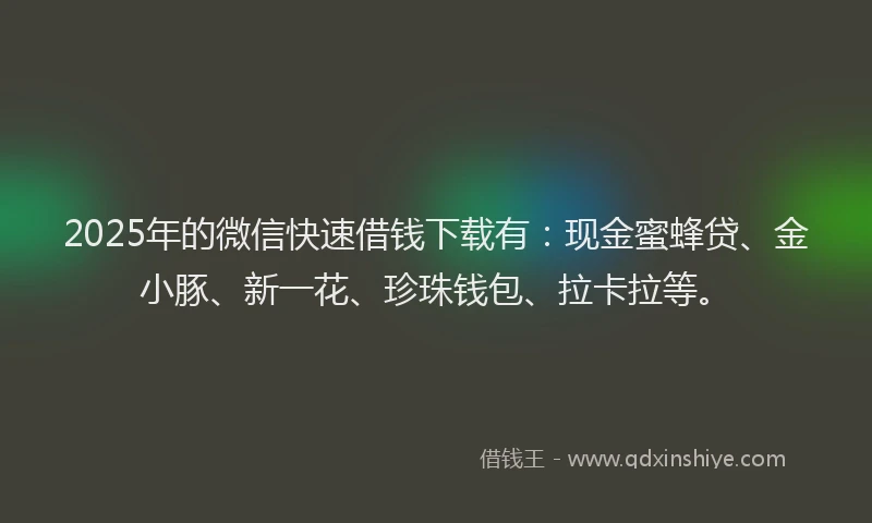 2025年的微信快速借钱下载有：现金蜜蜂贷、金小豚、新一花、珍珠钱包、拉卡拉等。