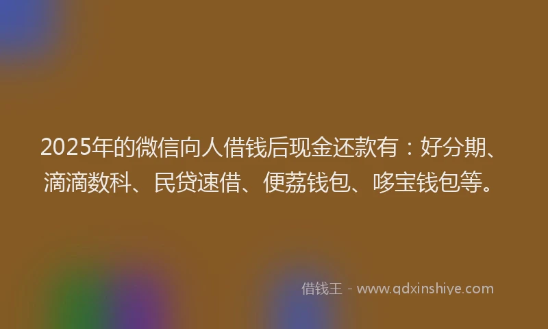 2025年的微信向人借钱后现金还款有：好分期、滴滴数科、民贷速借、便荔钱包、哆宝钱包等。