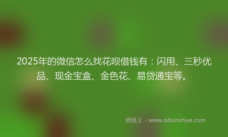 2025年的微信怎么找花呗借钱有：闪用、三秒优品、现金宝盒、金色花、易贷通宝等。