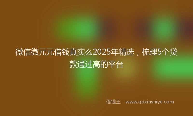 微信微元元借钱真实么2025年精选，梳理5个贷款通过高的平台