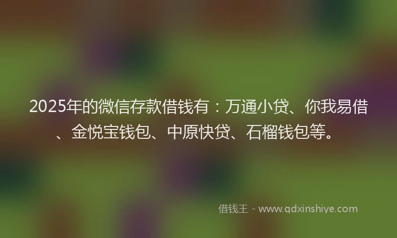 2025年的微信存款借钱有：万通小贷、你我易借、金悦宝钱包、中原快贷、石榴钱包等。