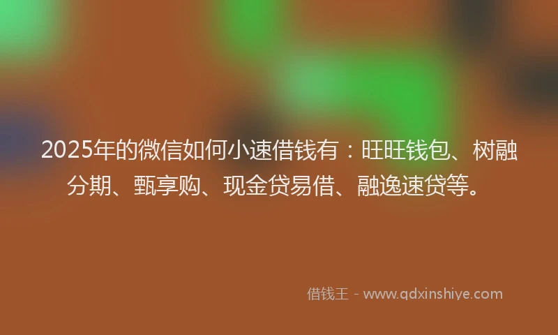 2025年的微信如何小速借钱有：旺旺钱包、树融分期、甄享购、现金贷易借、融逸速贷等。