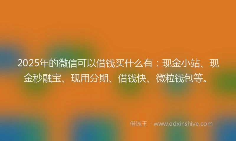 2025年的微信可以借钱买什么有：现金小站、现金秒融宝、现用分期、借钱快、微粒钱包等。