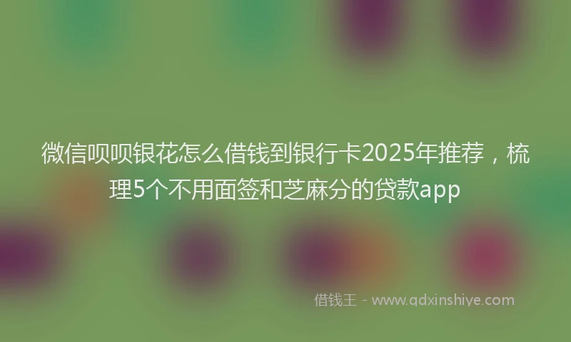 微信呗呗银花怎么借钱到银行卡2025年推荐，梳理5个不用面签和芝麻分的贷款app