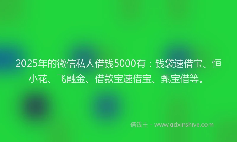 2025年的微信私人借钱5000有：钱袋速借宝、恒小花、飞融金、借款宝速借宝、甄宝借等。