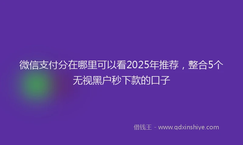 微信支付分在哪里可以看2025年推荐，整合5个无视黑户秒下款的口子