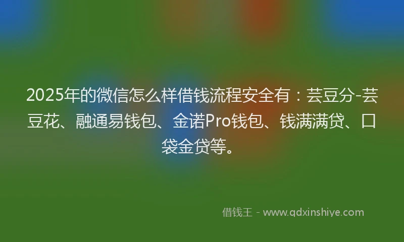 2025年的微信怎么样借钱流程安全有：芸豆分-芸豆花、融通易钱包、金诺Pro钱包、钱满满贷、口袋金贷等。