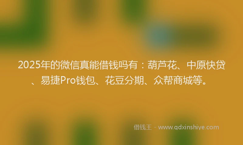 2025年的微信真能借钱吗有：葫芦花、中原快贷、易捷Pro钱包、花豆分期、众帮商城等。