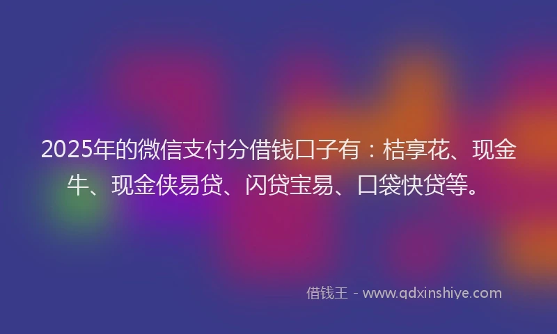 2025年的微信支付分借钱口子有：桔享花、现金牛、现金侠易贷、闪贷宝易、口袋快贷等。