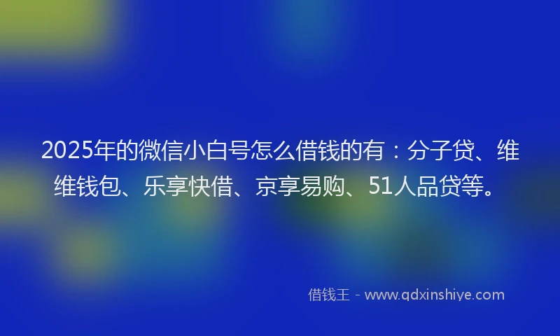 2025年的微信小白号怎么借钱的有：分子贷、维维钱包、乐享快借、京享易购、51人品贷等。