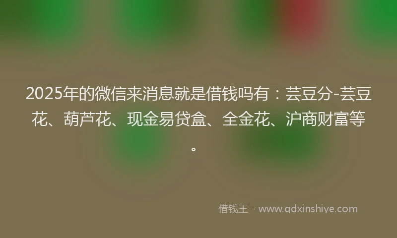 2025年的微信来消息就是借钱吗有：芸豆分-芸豆花、葫芦花、现金易贷盒、全金花、沪商财富等。