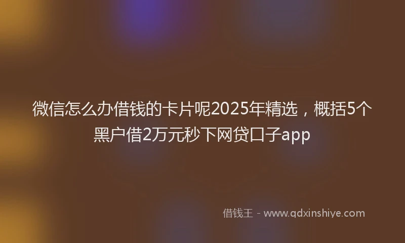 微信怎么办借钱的卡片呢2025年精选，概括5个黑户借2万元秒下网贷口子app