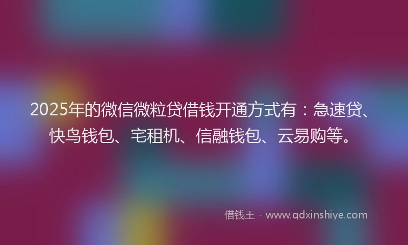 2025年的微信微粒贷借钱开通方式有：急速贷、快鸟钱包、宅租机、信融钱包、云易购等。