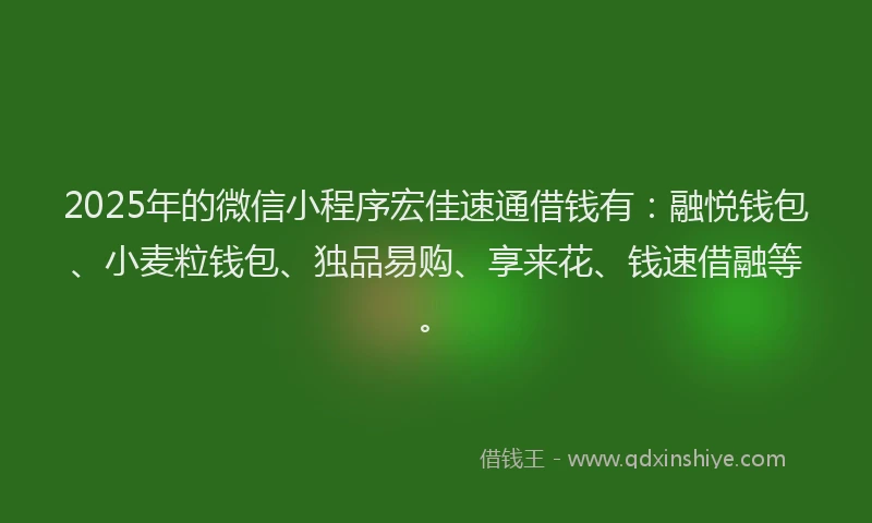 2025年的微信小程序宏佳速通借钱有：融悦钱包、小麦粒钱包、独品易购、享来花、钱速借融等。